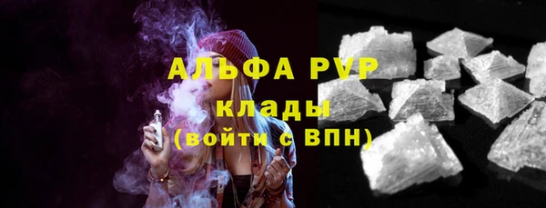 СК Новодвинск