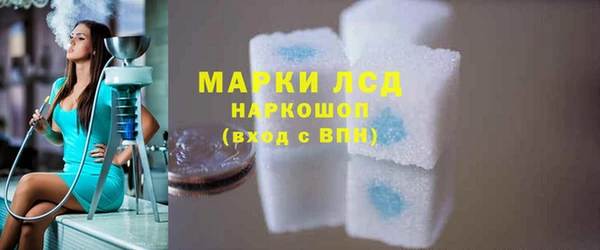 СК Новодвинск
