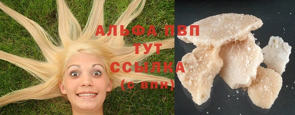 СК Новодвинск