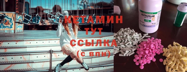 СК Новодвинск