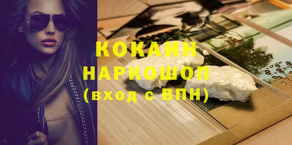 СК Новодвинск