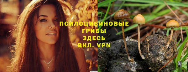 кокаин VHQ Новозыбков