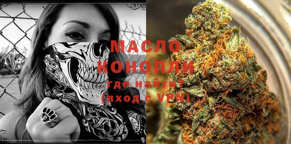 СК Новодвинск