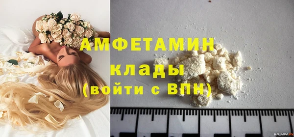 СК Новодвинск
