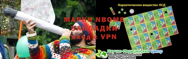 СК Новодвинск