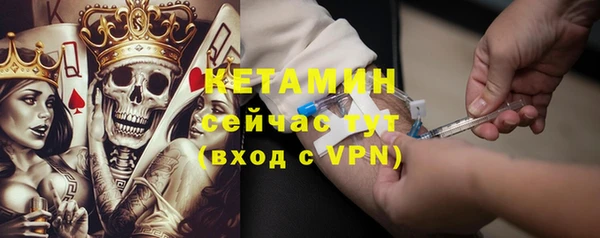 СК Новодвинск
