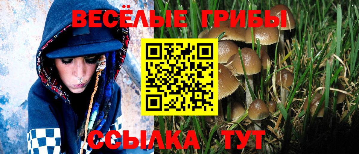 Унеча  Галлюциногенные грибы GOLDEN TEACHER  дарнет шоп  Вход с VPN 